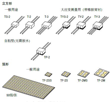 z6com尊龙凯时(中国游)官方网站