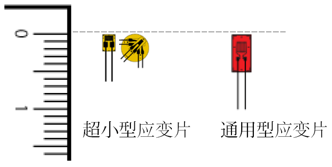 z6com尊龙凯时(中国游)官方网站