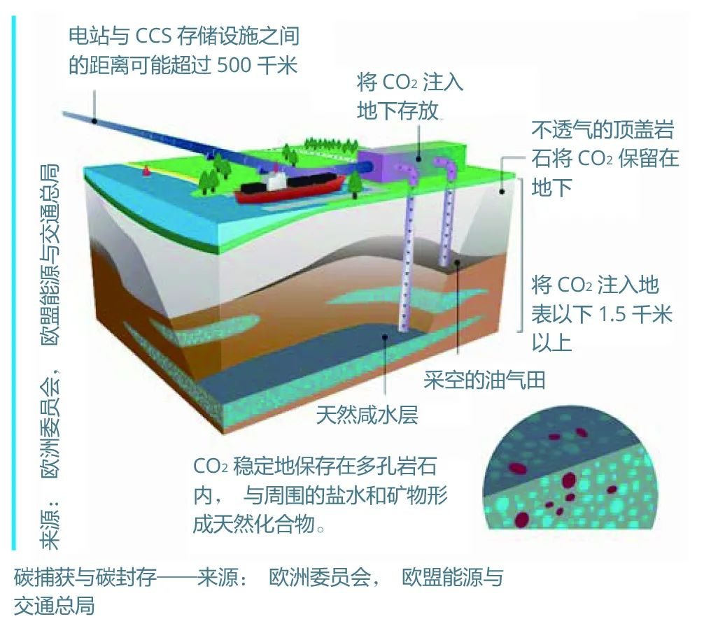 z6com尊龙凯时(中国游)官方网站