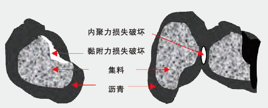 z6com尊龙凯时(中国游)官方网站